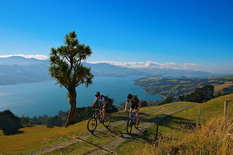 10 popolari itinerari per esplorare la Nuova Zelanda in bici 10