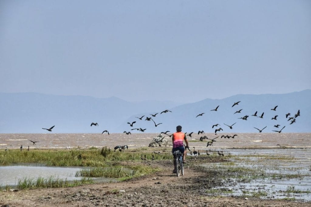 lake manyara travel guide tanzania