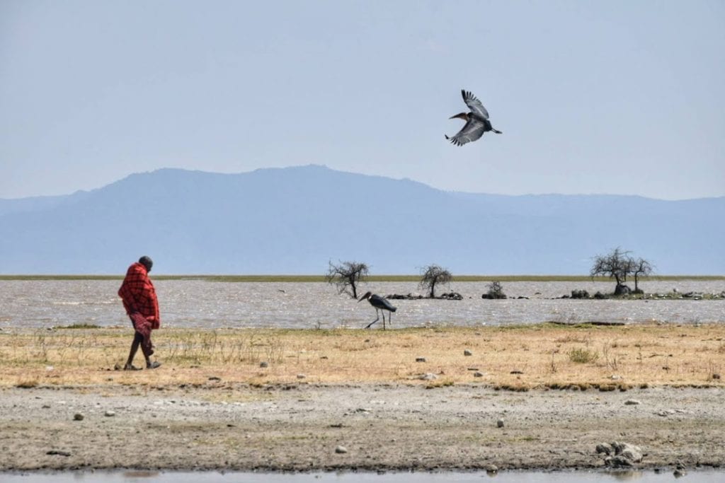 lake manyara by bicycle travel guide