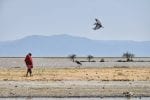 lake manyara by bicycle travel guide