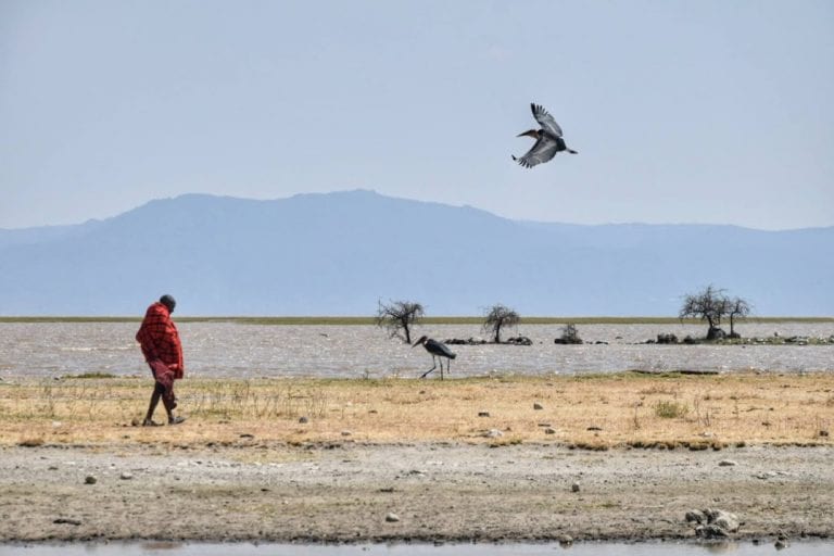 lake manyara by bicycle travel guide