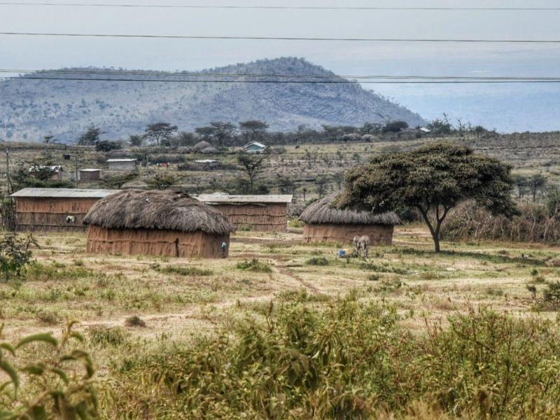 self drive in tanzania guide kilimanjaro