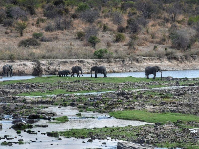 self drive ruaha national park