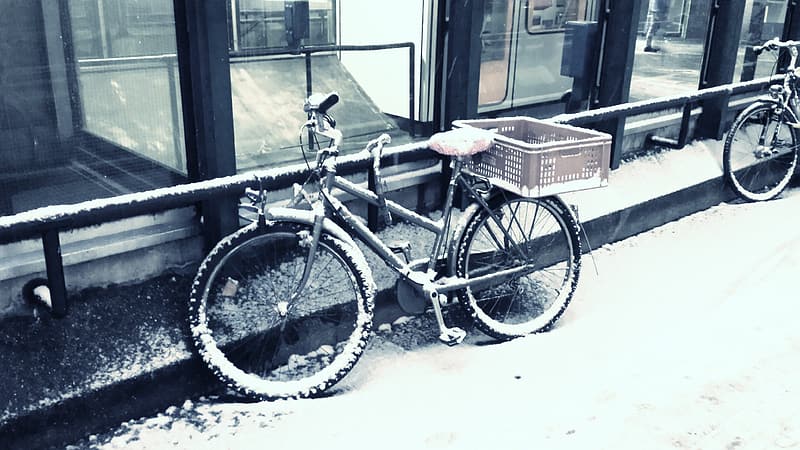 bike rack bag commuting