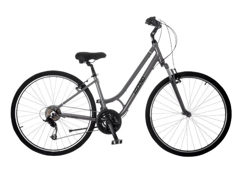 best bicycles for plus-size women