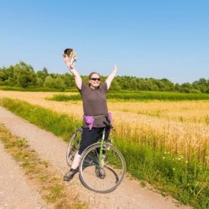 best bicycles for plus-size women