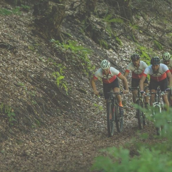 how to build a cycling team