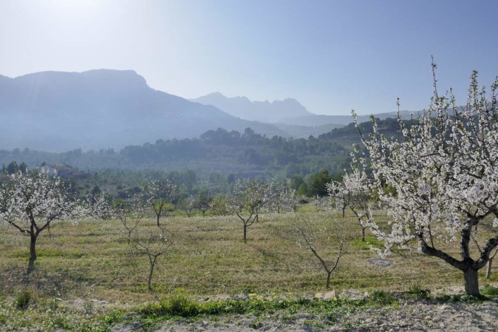 Cycling Andalucia and the Spanish Southern Coast 3