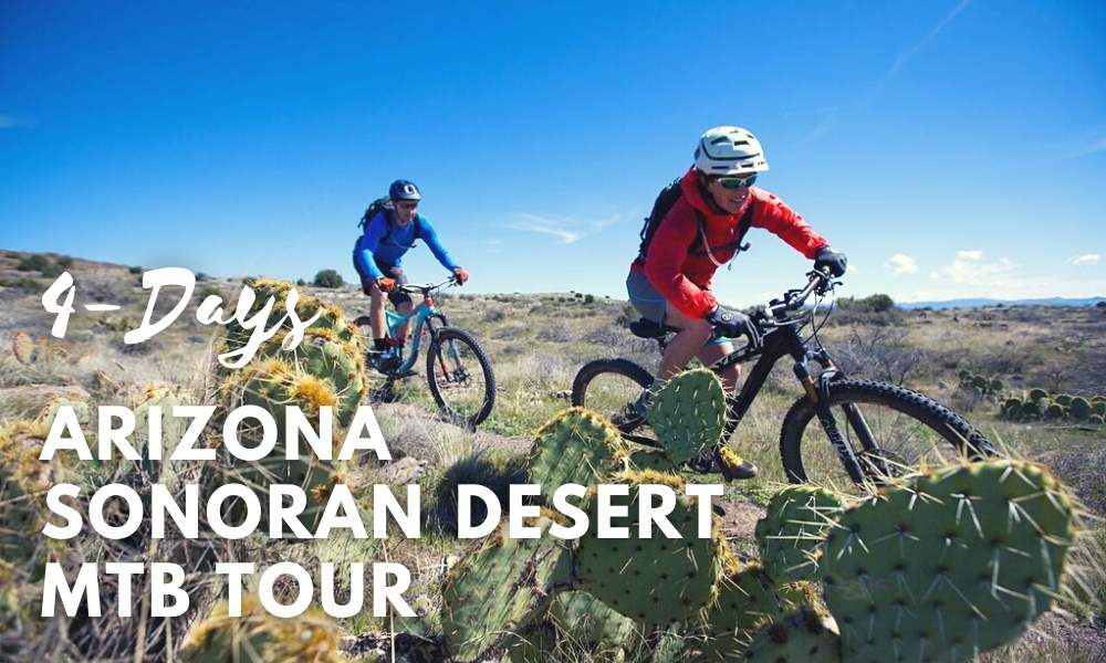 Arizona Sonoran Desert MTB tour