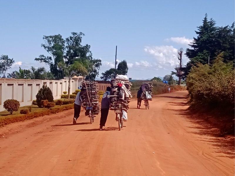 vampires of malawi climate change 