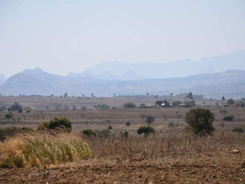 vampires of malawi