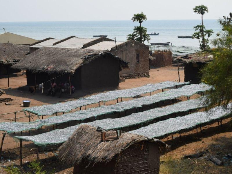 vampires of malawi climate change 