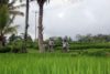 guided bike tours bali