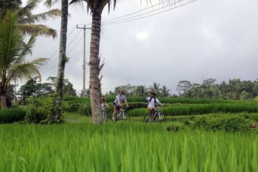 guided bike tours bali