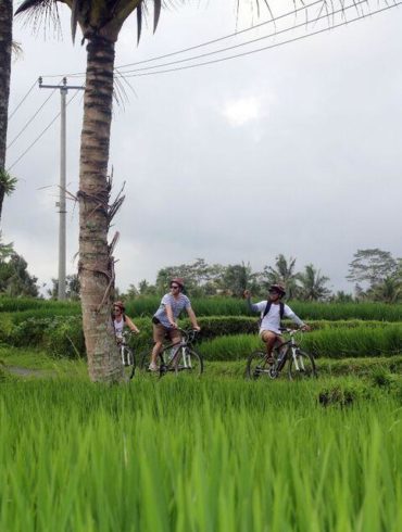guided bike tours bali