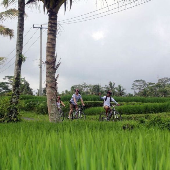 guided bike tours bali