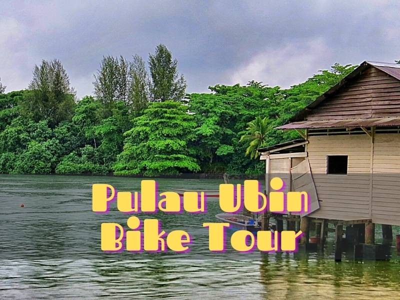 10 Best Bike Tours in Singapore - Cycling Vacations in the Lion City 1