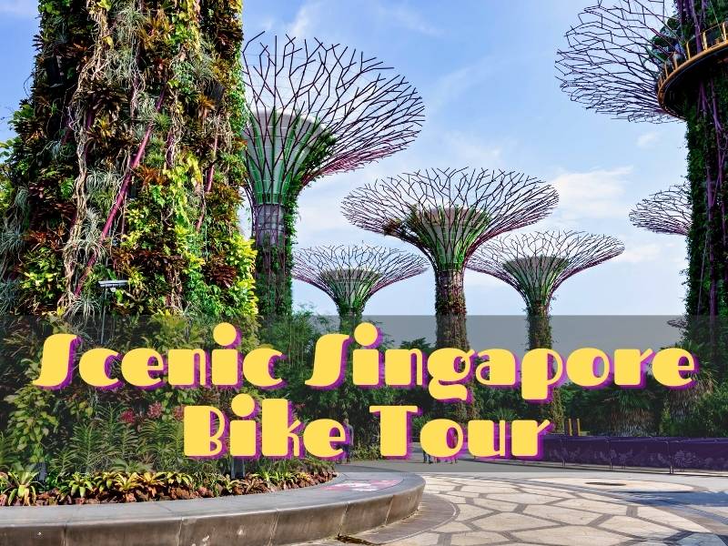 Scenic Singapore Bike Tour