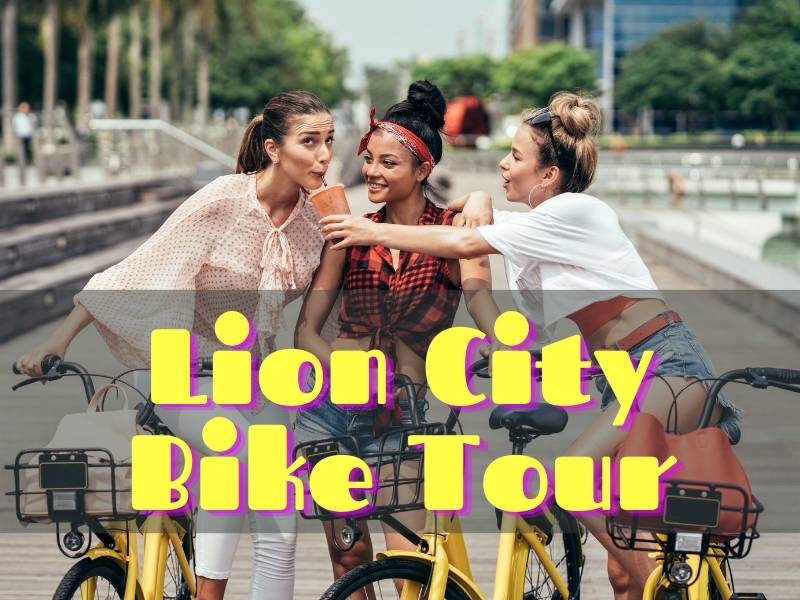lion city bike tour