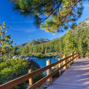 Best MTB Trails in Northern California