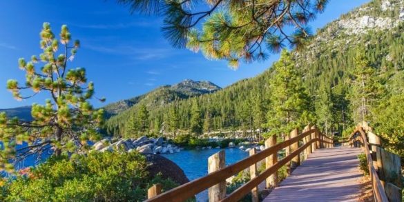 Best MTB Trails in Northern California