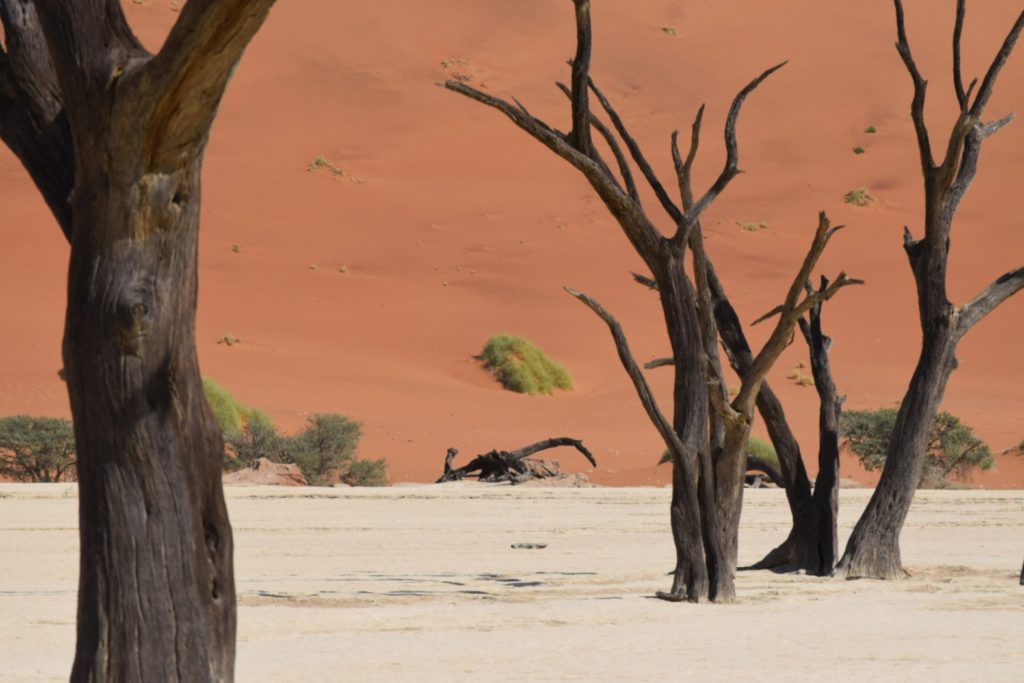 cycle touring Namibia