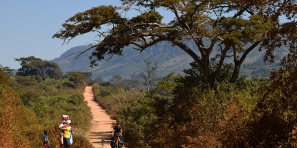 bikepacking africa