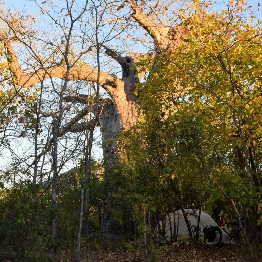 bush camping in zambia