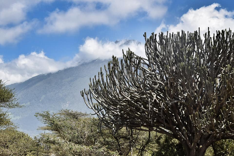 cycling arusha masai land tanzania