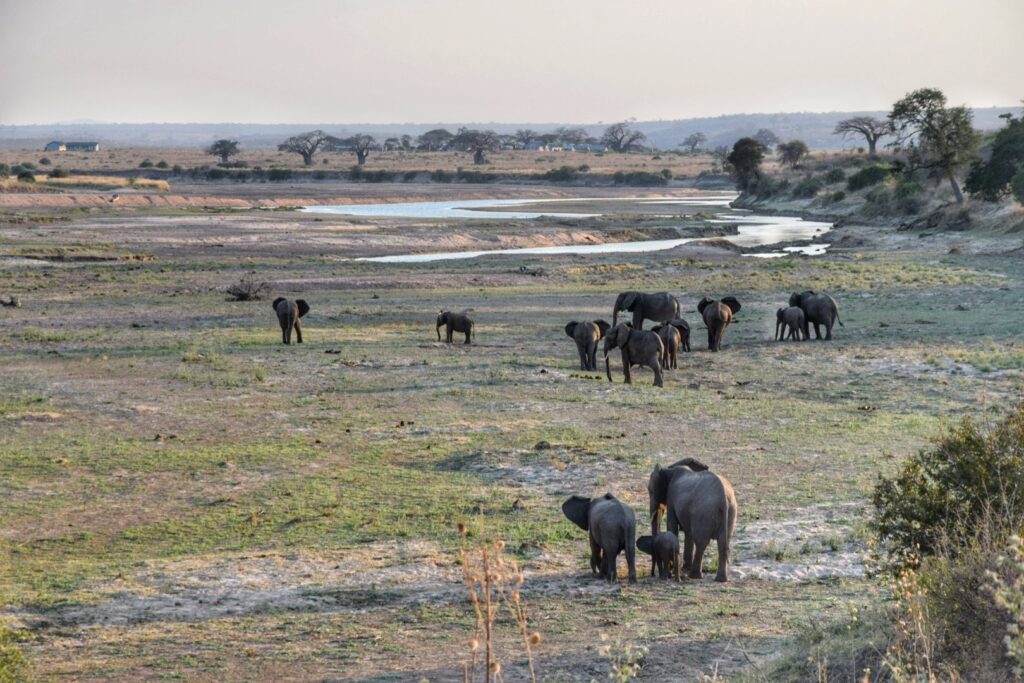 Cycling Africa: Bicycle Touring & Bikepacking 6