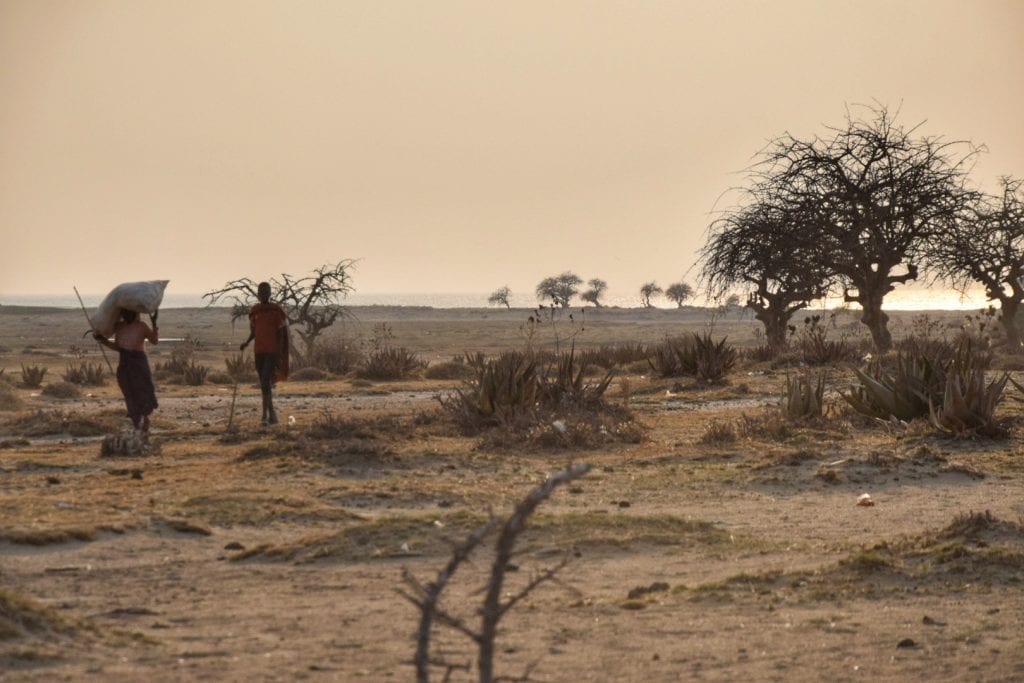 tanzania hadza