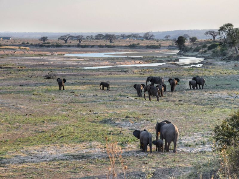 self drive cheap safari tanzania