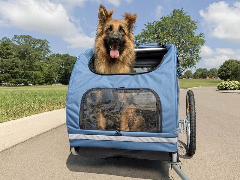 dog trailer