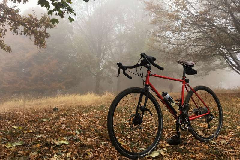 Best gravel bike saddles