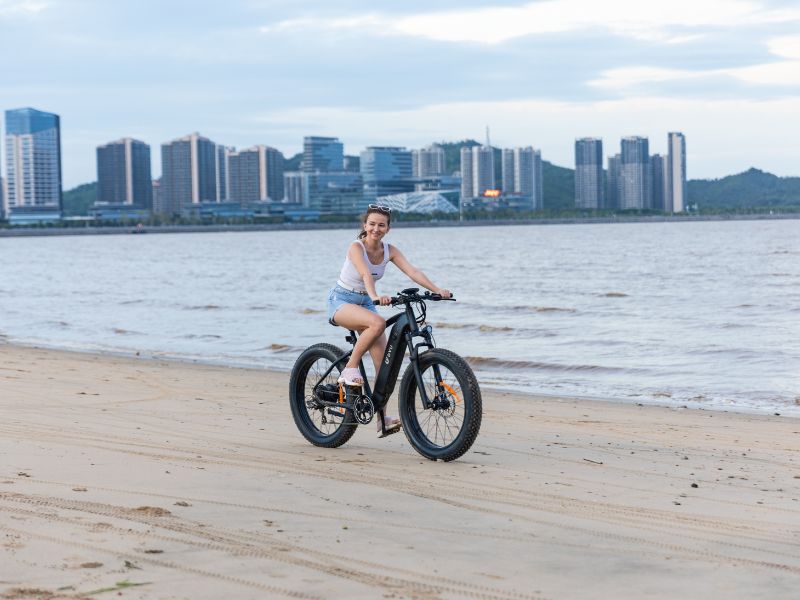 DYU King 750 Review - A Budget Electric Fat Bike 10