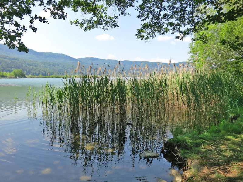 cycling Austria lake