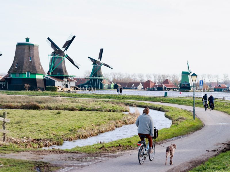 cycling with your dog