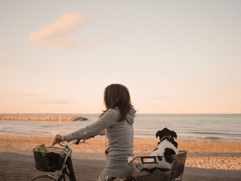 cycling with your dog