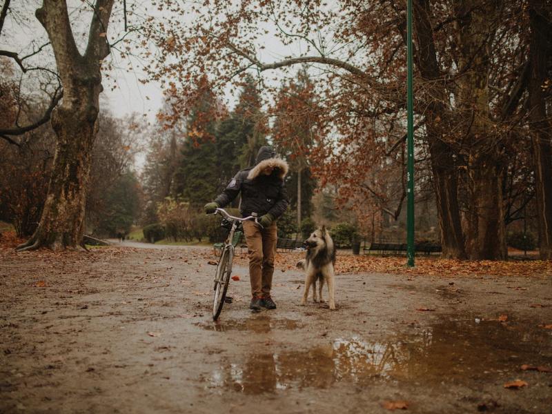 biking with my dog