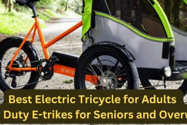 best fat tire electric tricycle for adults