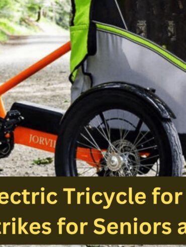 best fat tire electric tricycle for adults