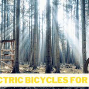 An image showing best electric bicycles for hunting