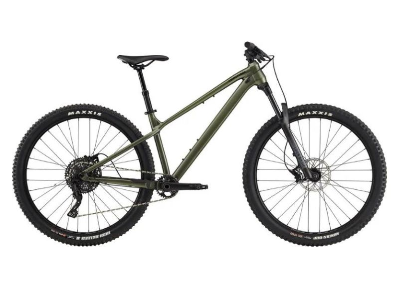 mountain bikes for heavy riders