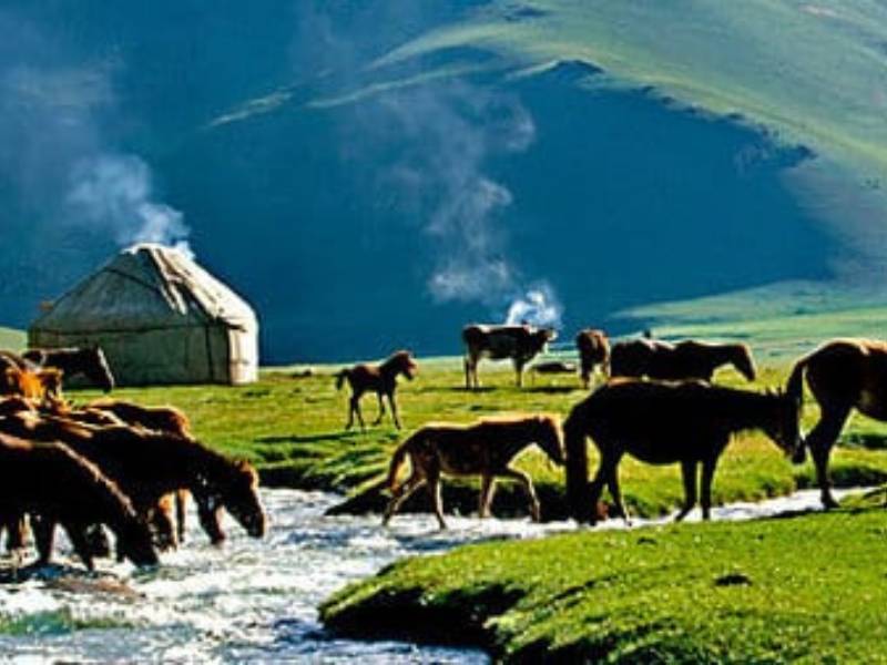 Kyrgyzstan: Fergana valley, Between Radioactivity and Territorial Conflicts 2