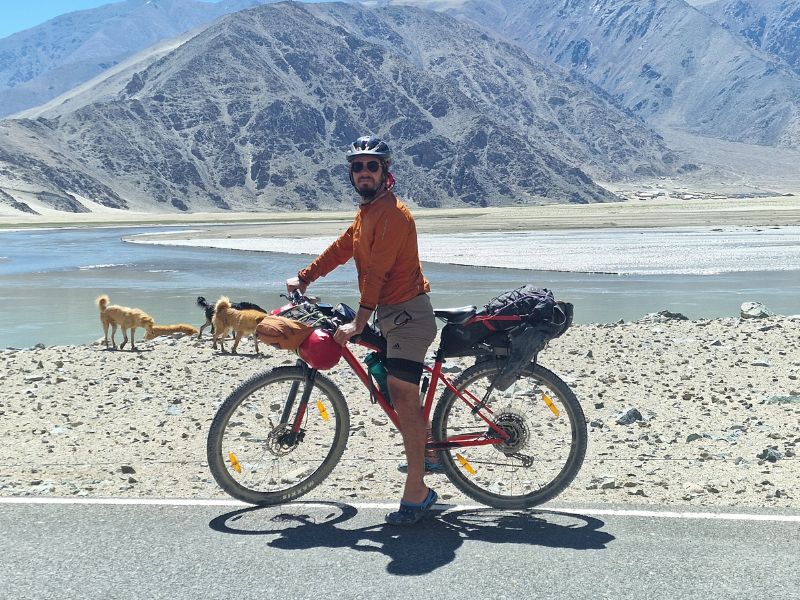 Dealing with dogs: How To Handle Stray Dogs While Cycling