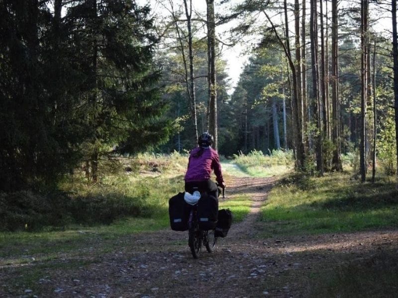 cosa vedere in Estonia