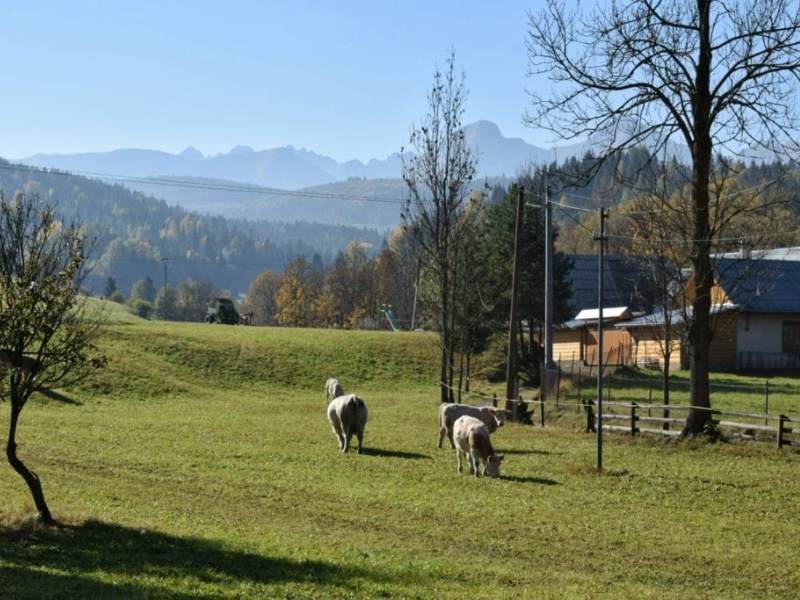 Osturňa: History