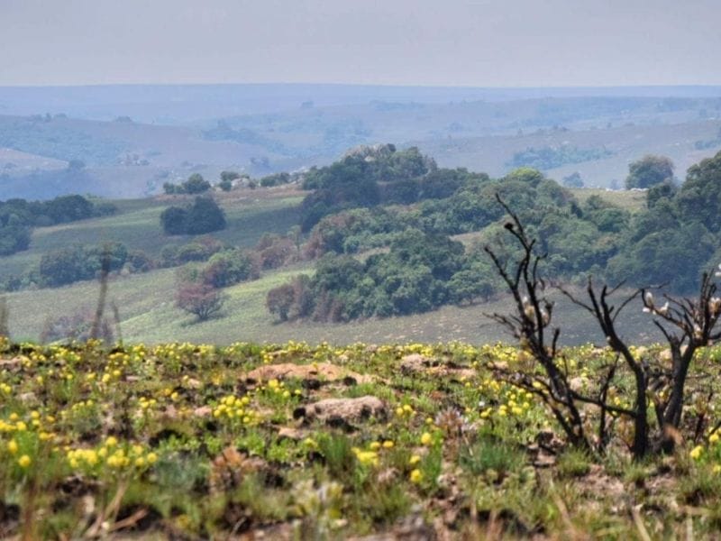 nyika national park malawi