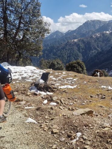 Best Gravel Bikes for Women