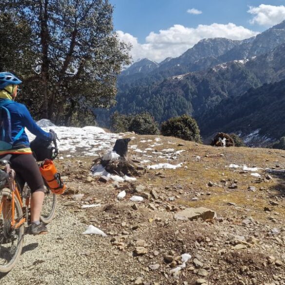 Best Gravel Bikes for Women